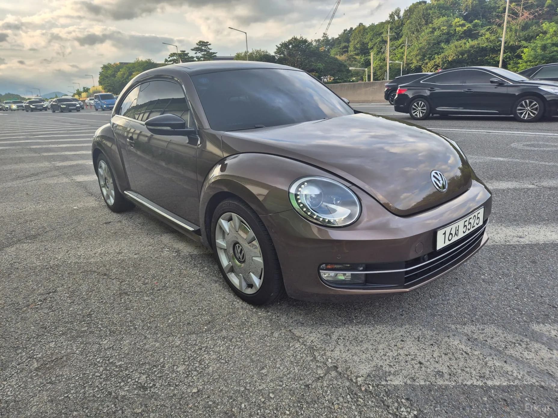 The Beetle