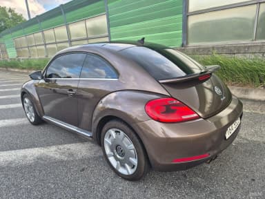 The Beetle