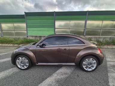 The Beetle