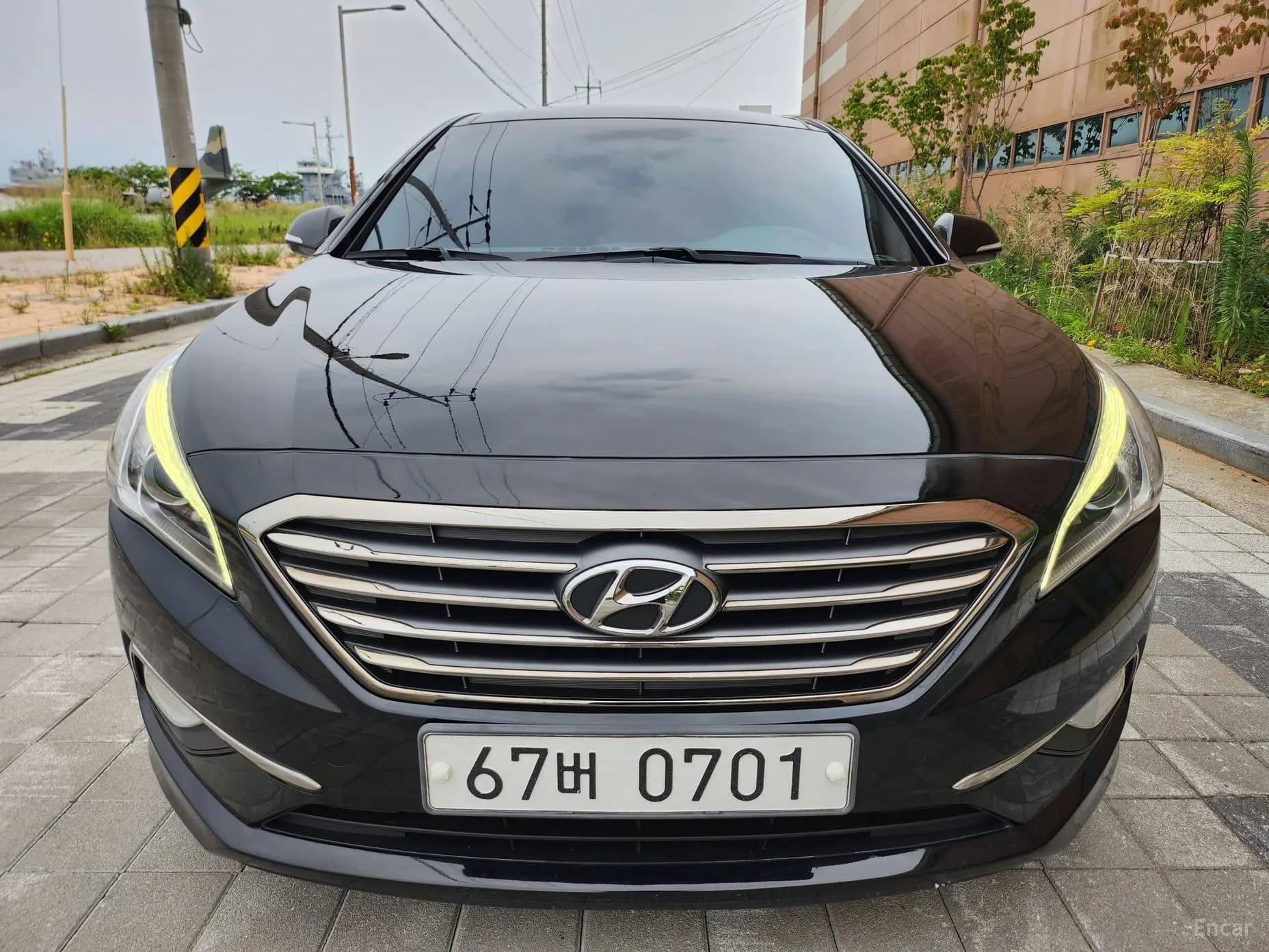 LF Sonata