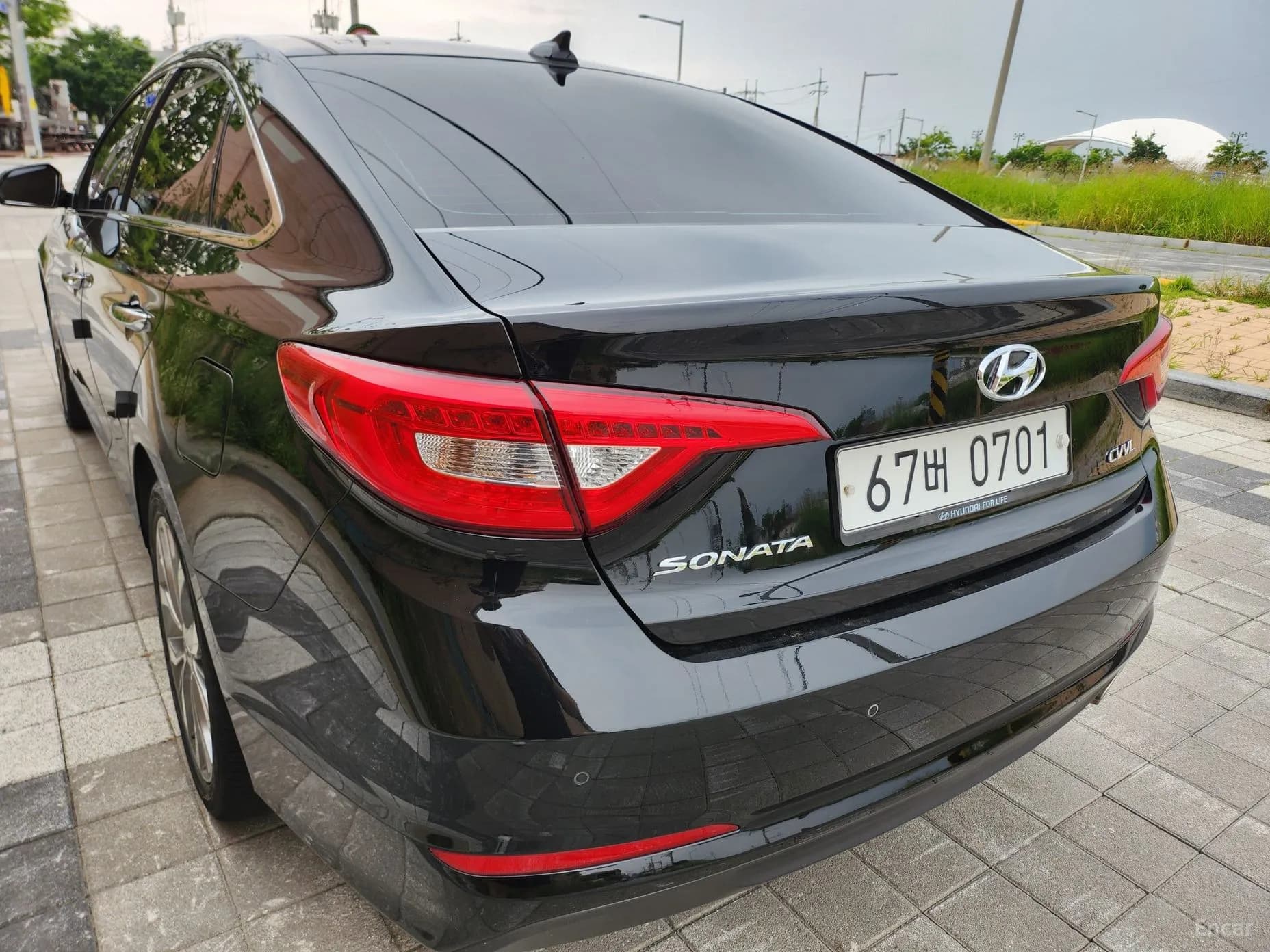 LF Sonata