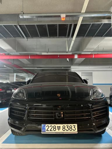 Cayenne (PO536)