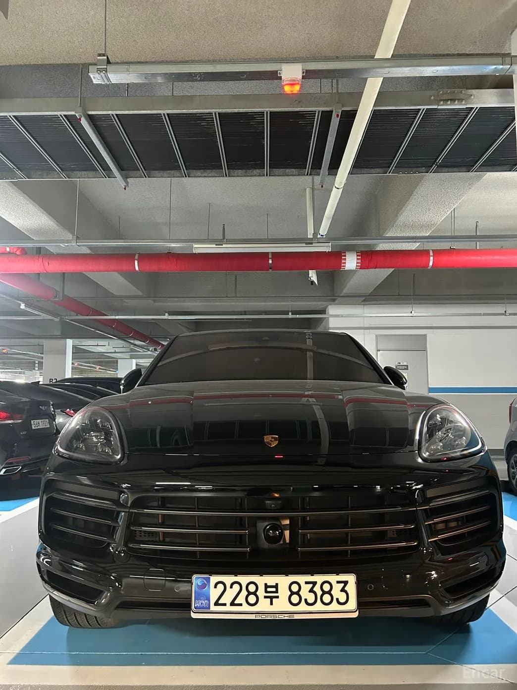 Cayenne (PO536)
