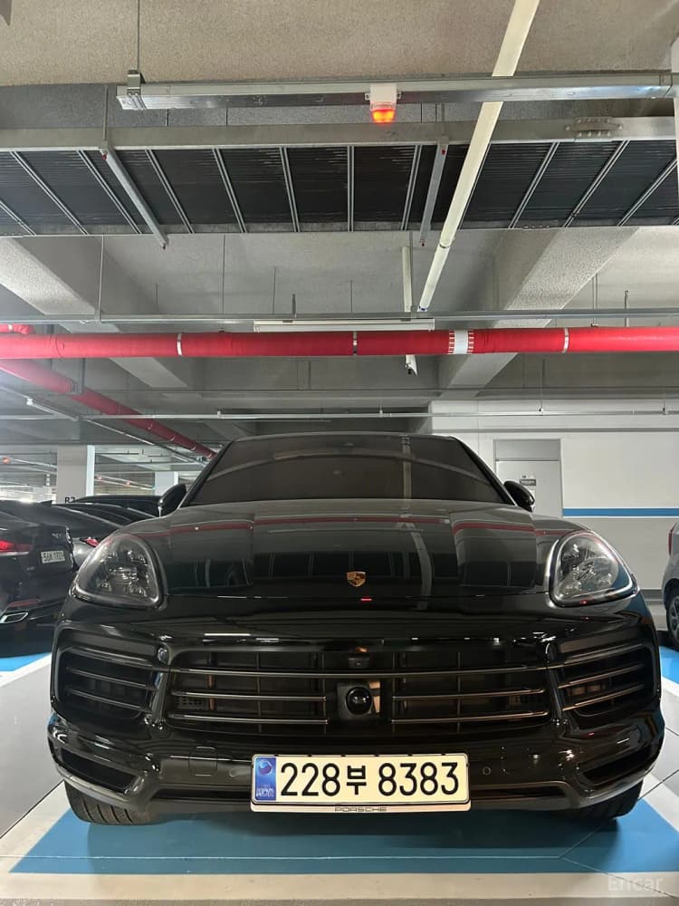 Cayenne (PO536)