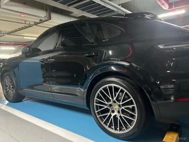 Cayenne (PO536)