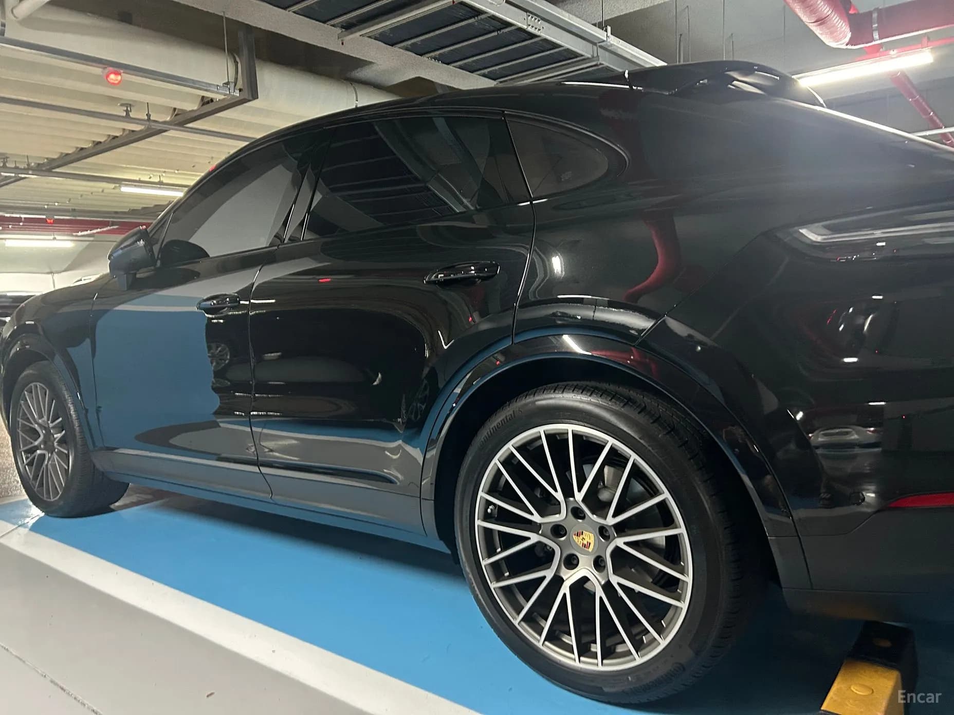 Cayenne (PO536)