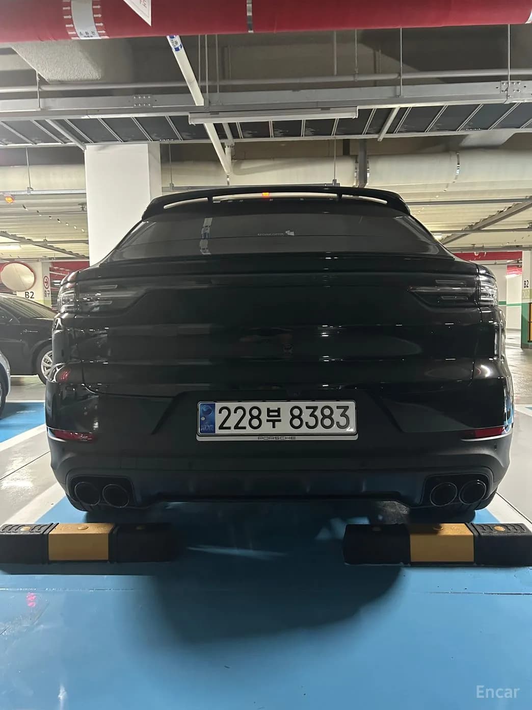Cayenne (PO536)