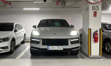 Cayenne (PO536)