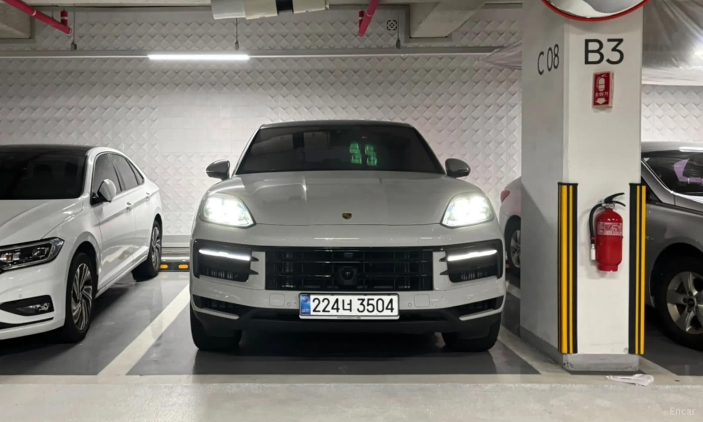 Cayenne (PO536)