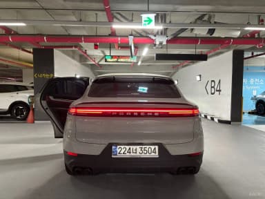 Cayenne (PO536)