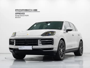 Cayenne (PO536)