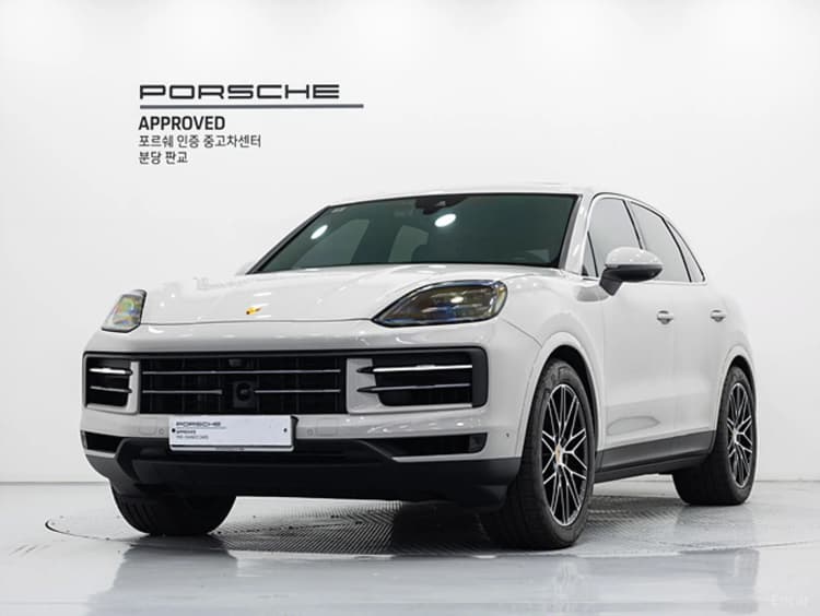 Cayenne (PO536)