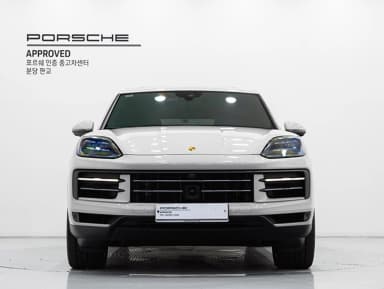 Cayenne (PO536)