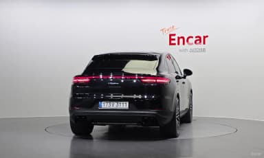 Cayenne (PO536)