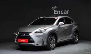 NX300h