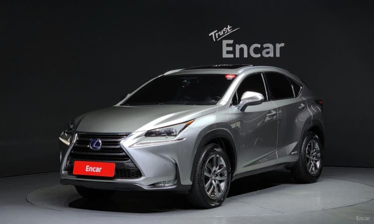 NX300h