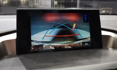 NX300h