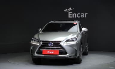 NX300h