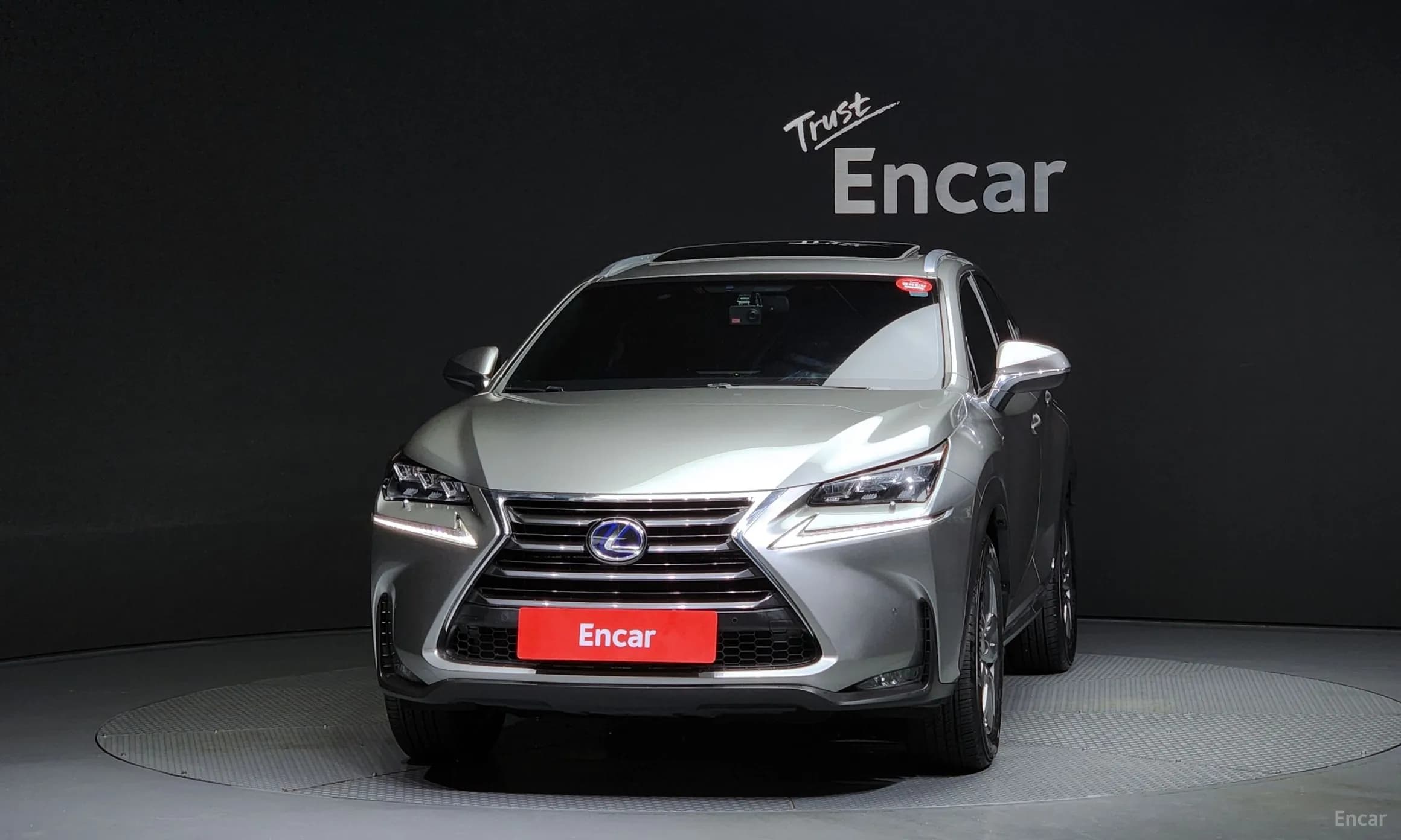 NX300h