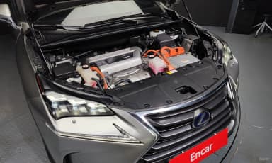 NX300h