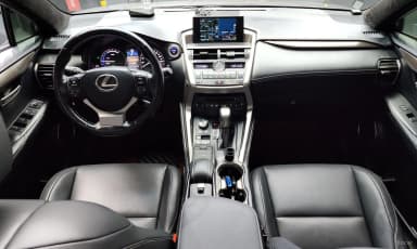 NX300h