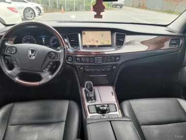 Equus (new)