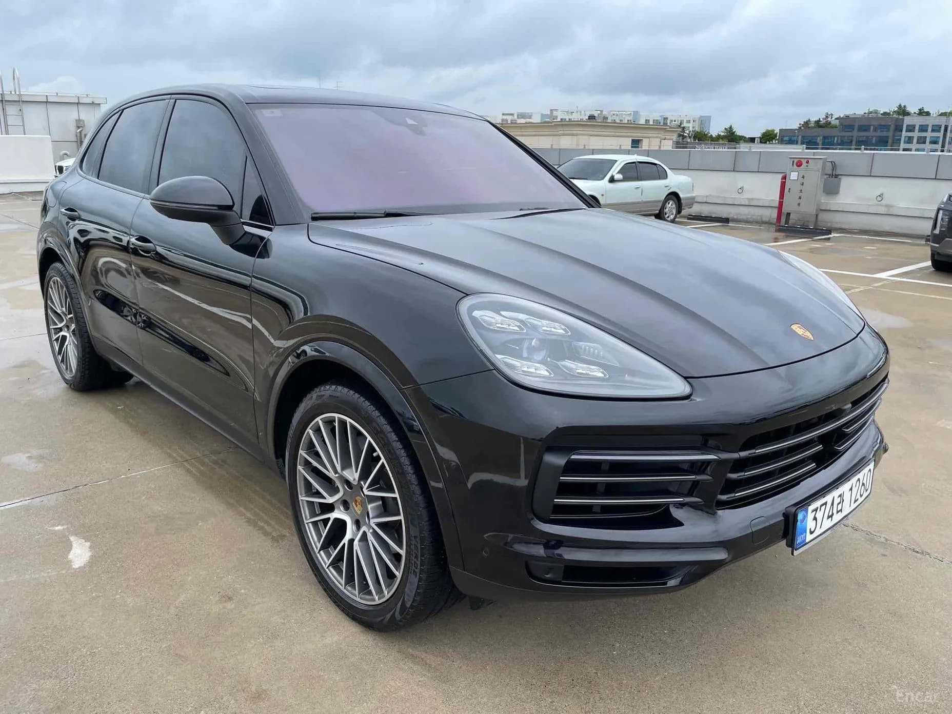 Cayenne (PO536)