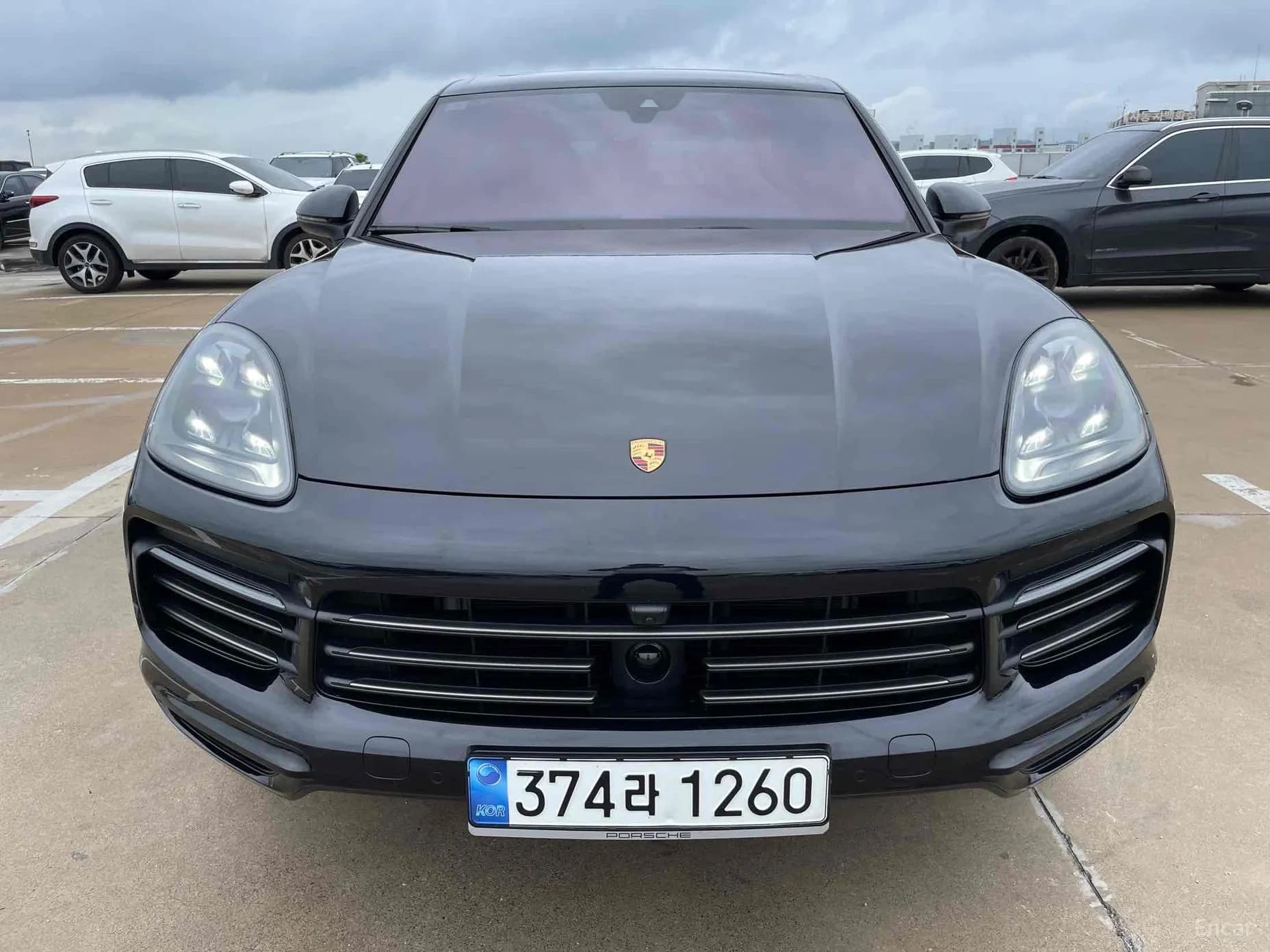 Cayenne (PO536)