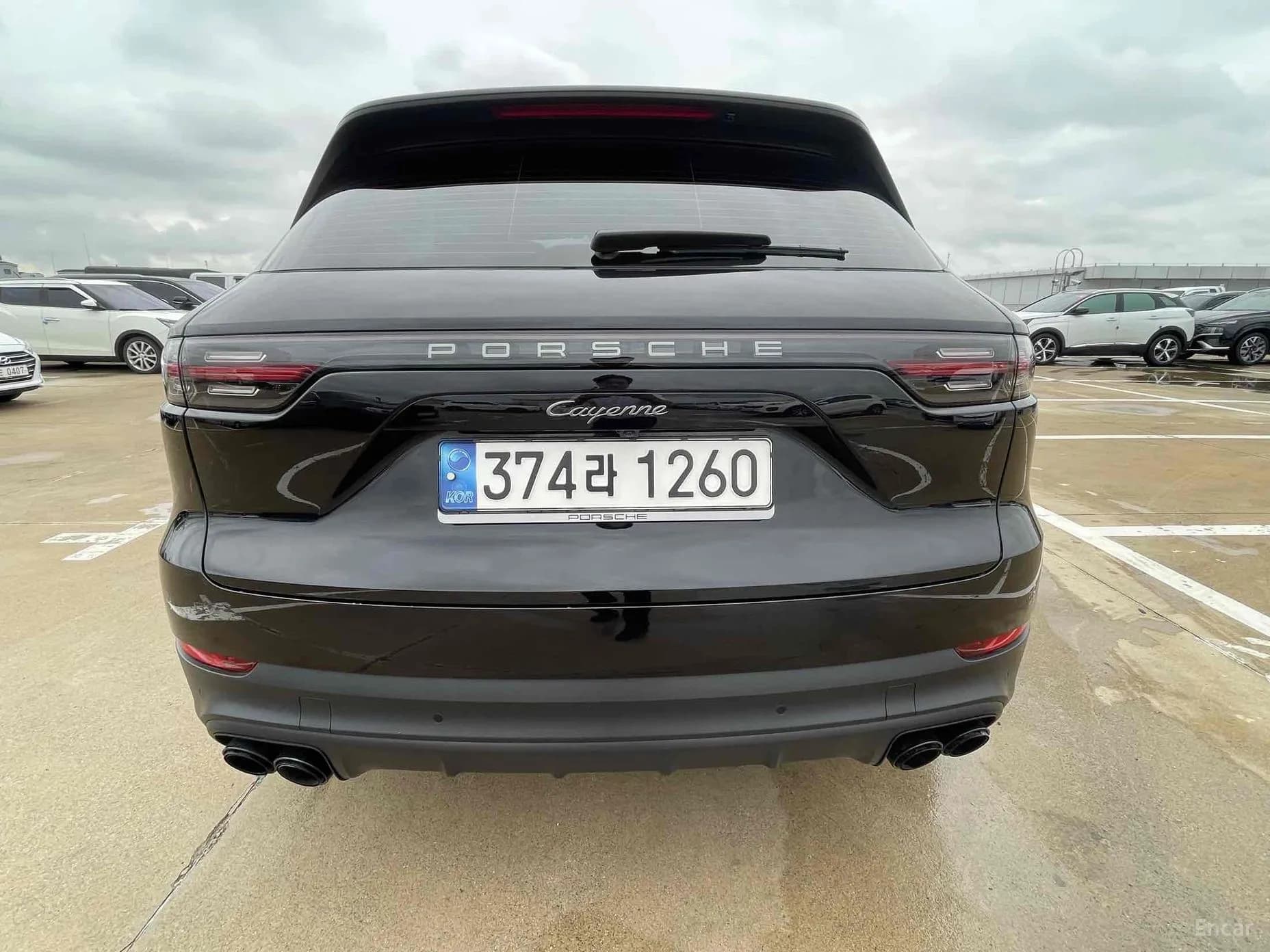 Cayenne (PO536)