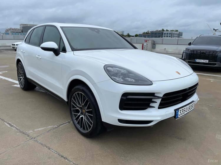 Cayenne (PO536)