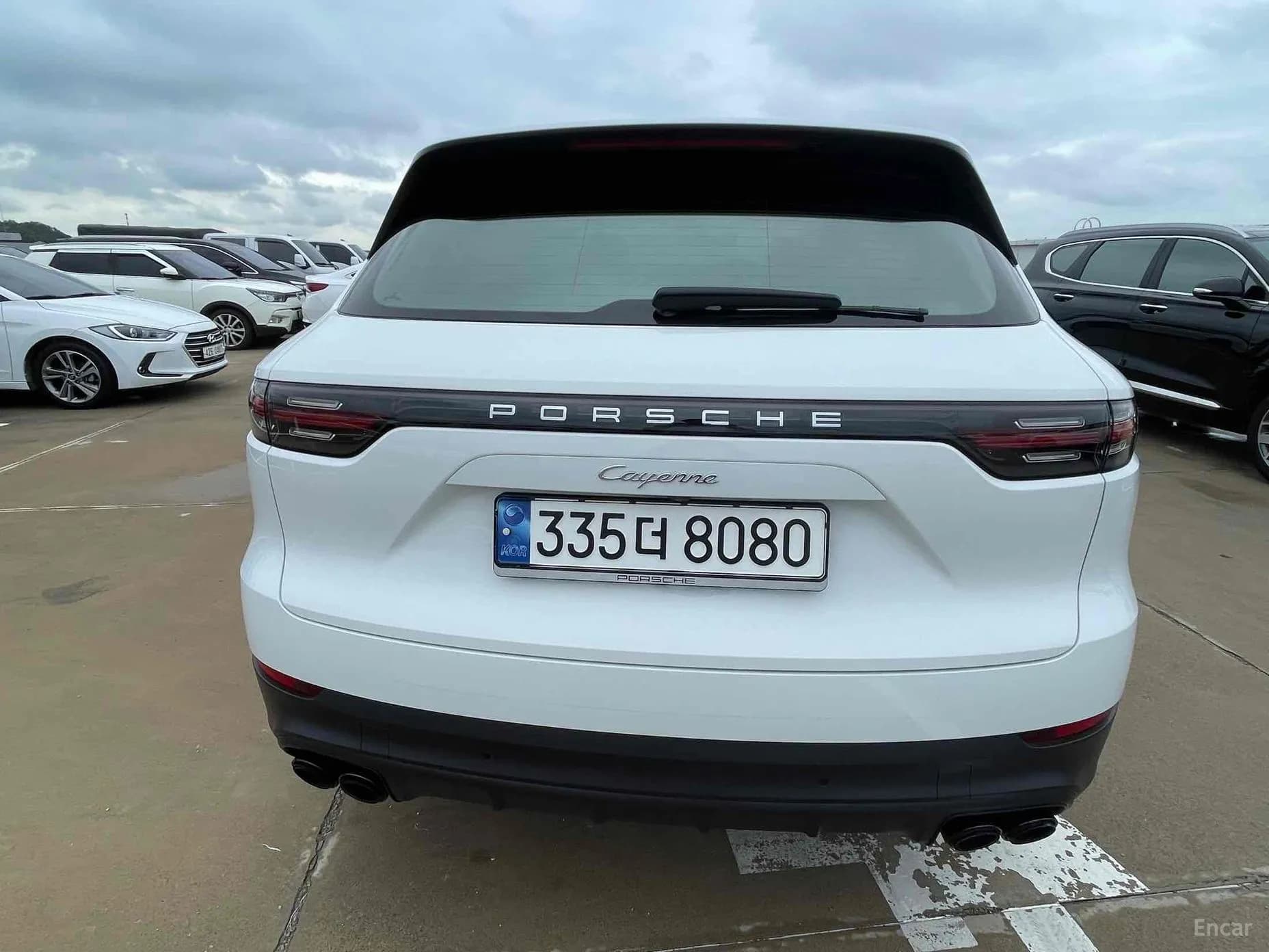 Cayenne (PO536)