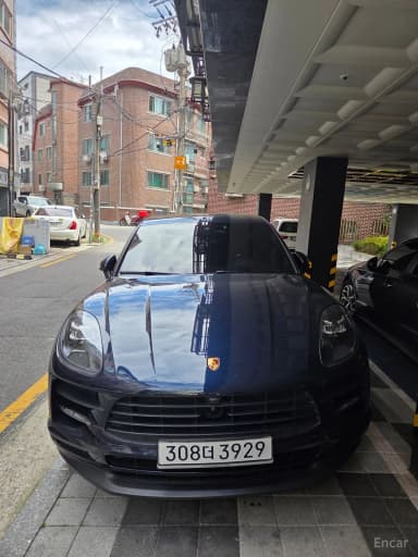 Macan