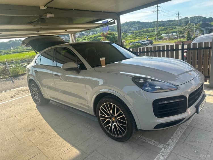 Cayenne (PO536)