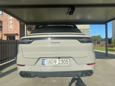 Cayenne (PO536)