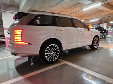 Palisade (LX3)