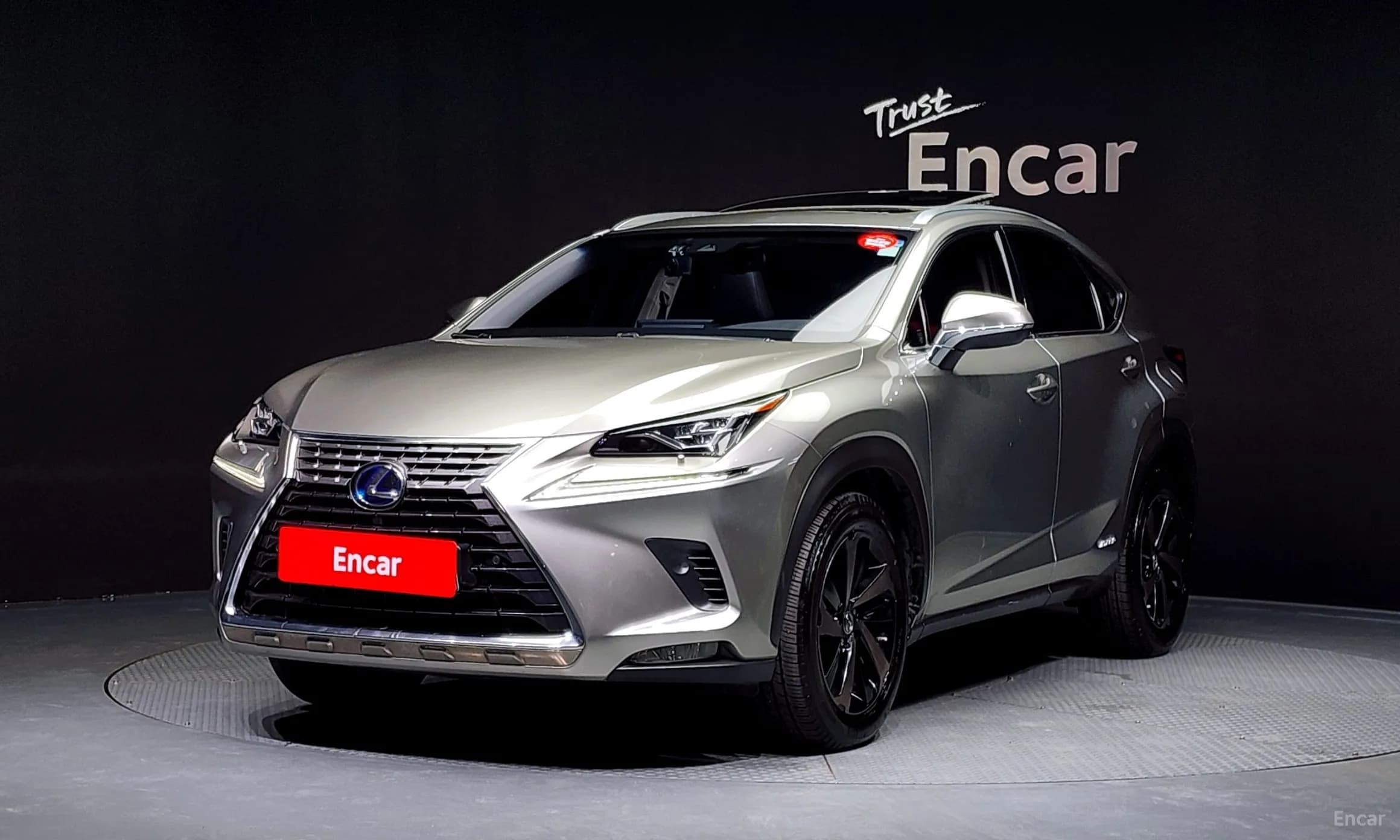 NX300h