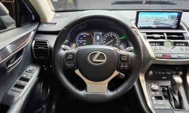 NX300h