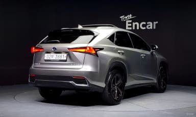 NX300h