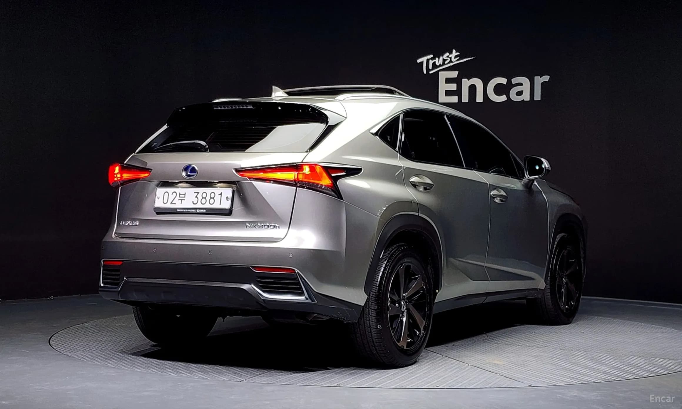 NX300h