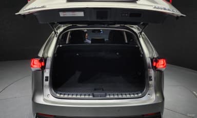 NX300h