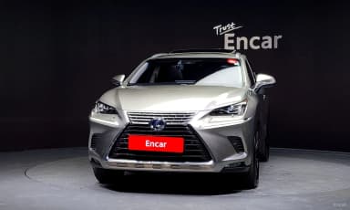 NX300h