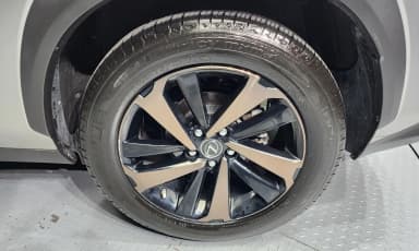 NX300h