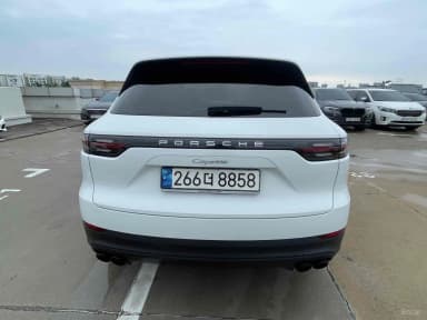 Cayenne (PO536)