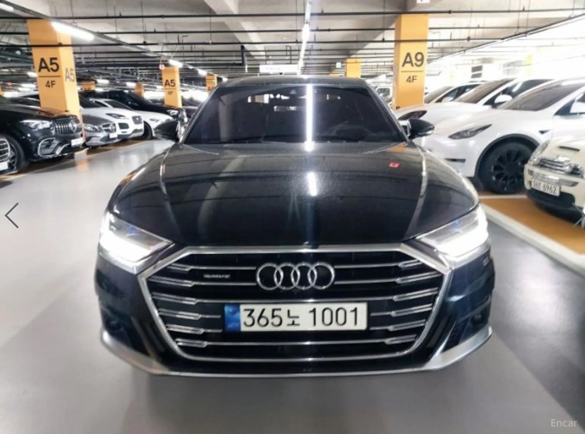 A8 (D5)