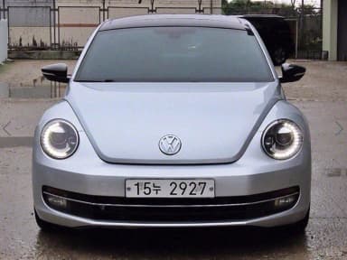 The Beetle