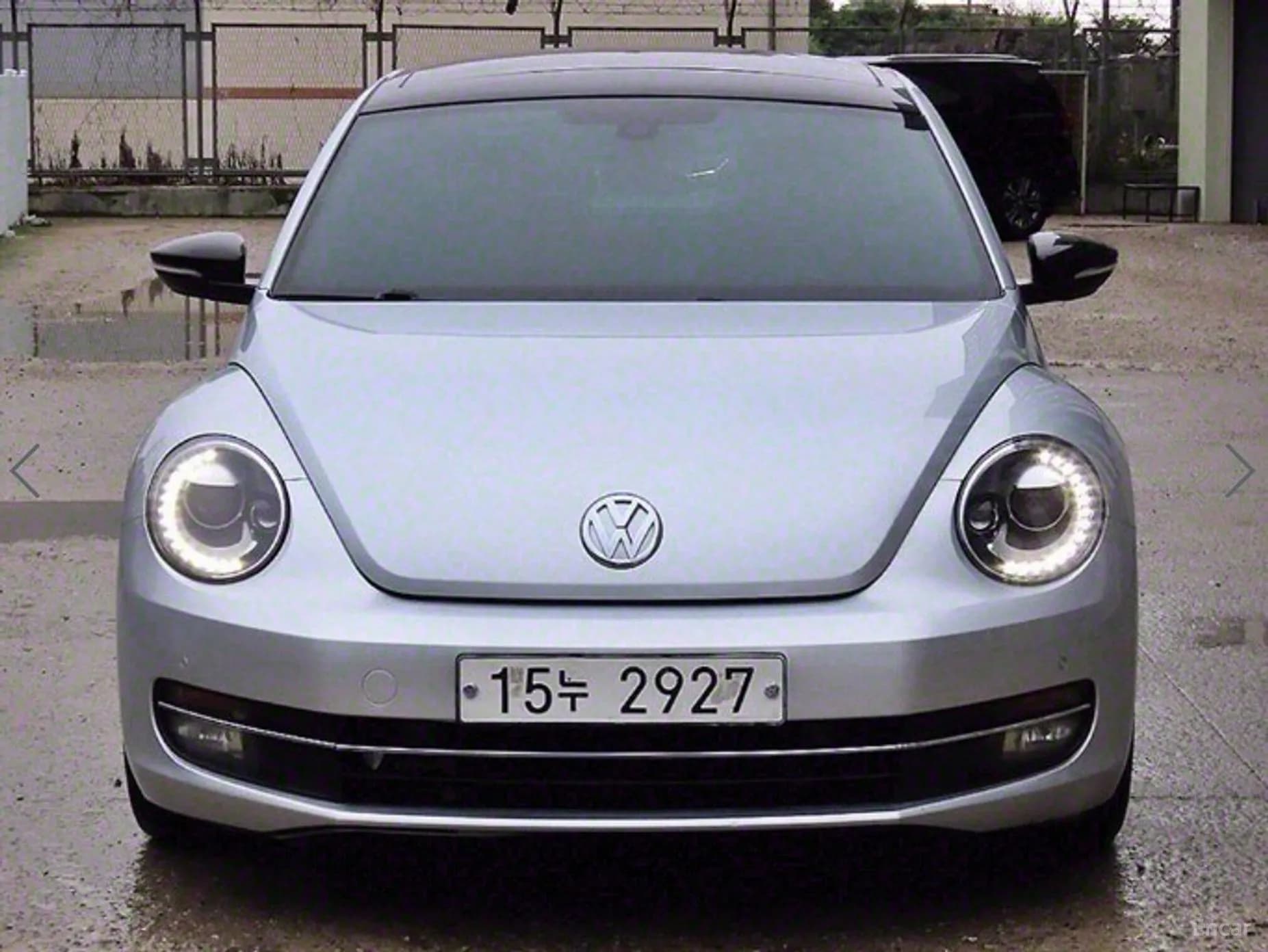 The Beetle