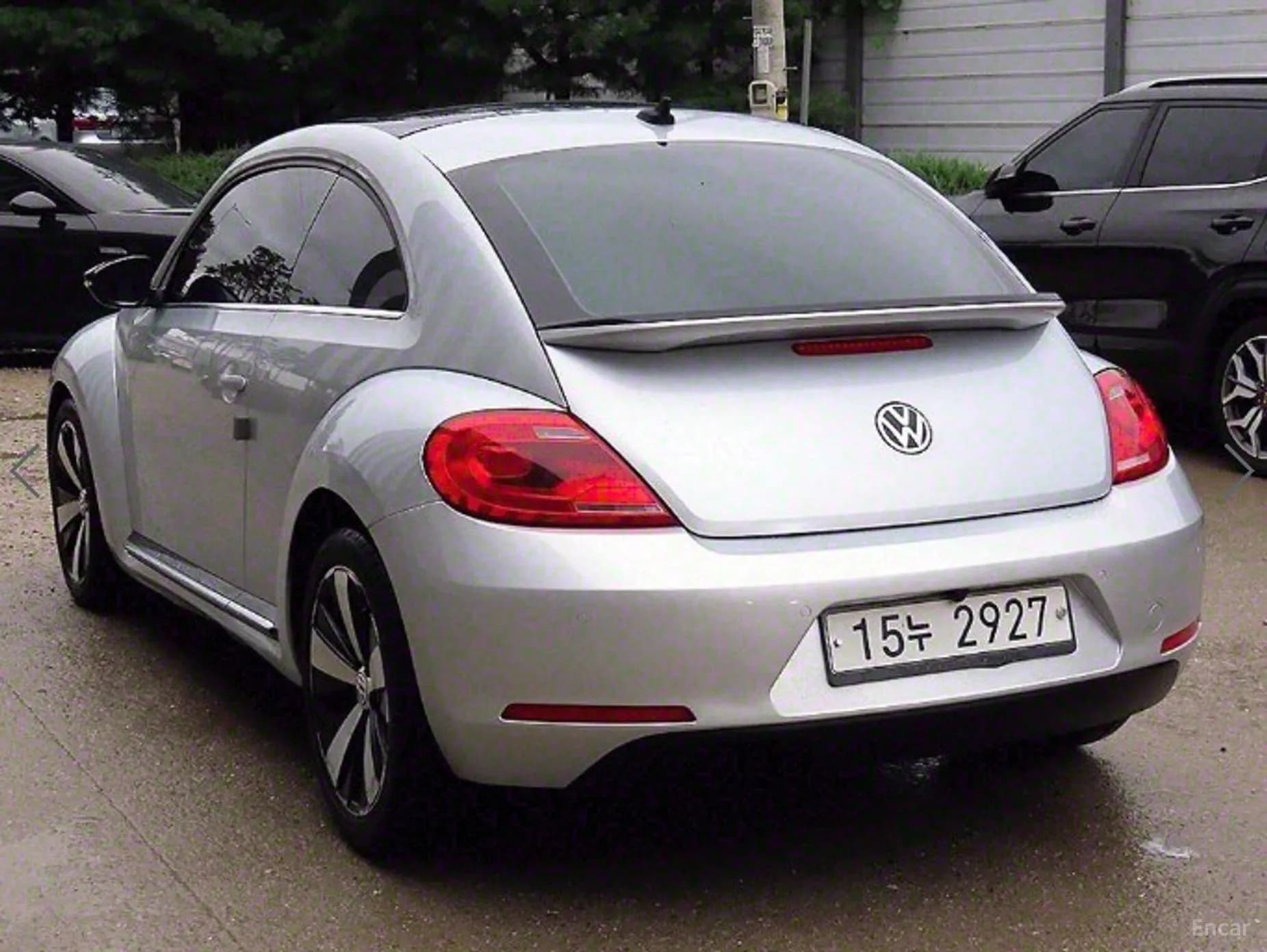 The Beetle