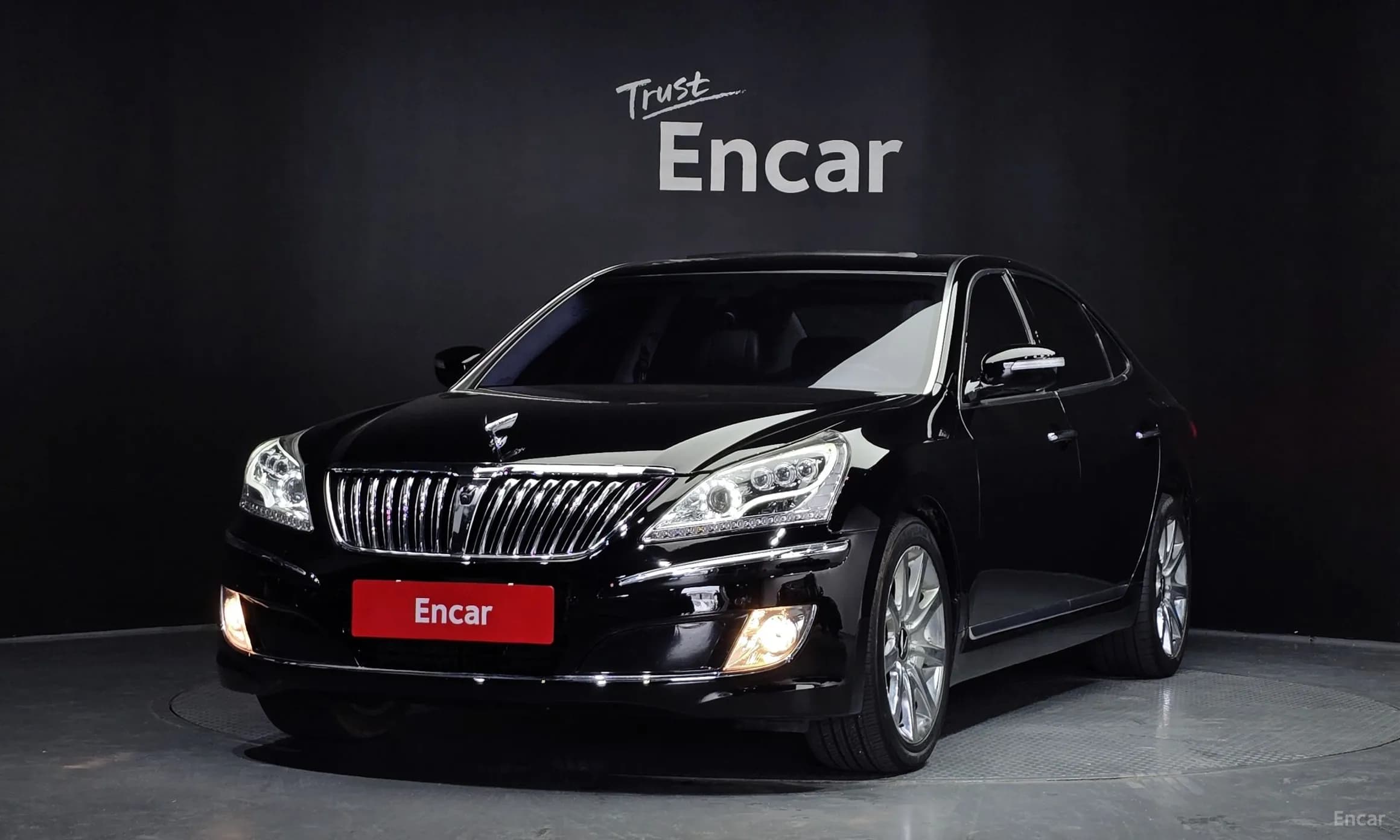 Equus (new)