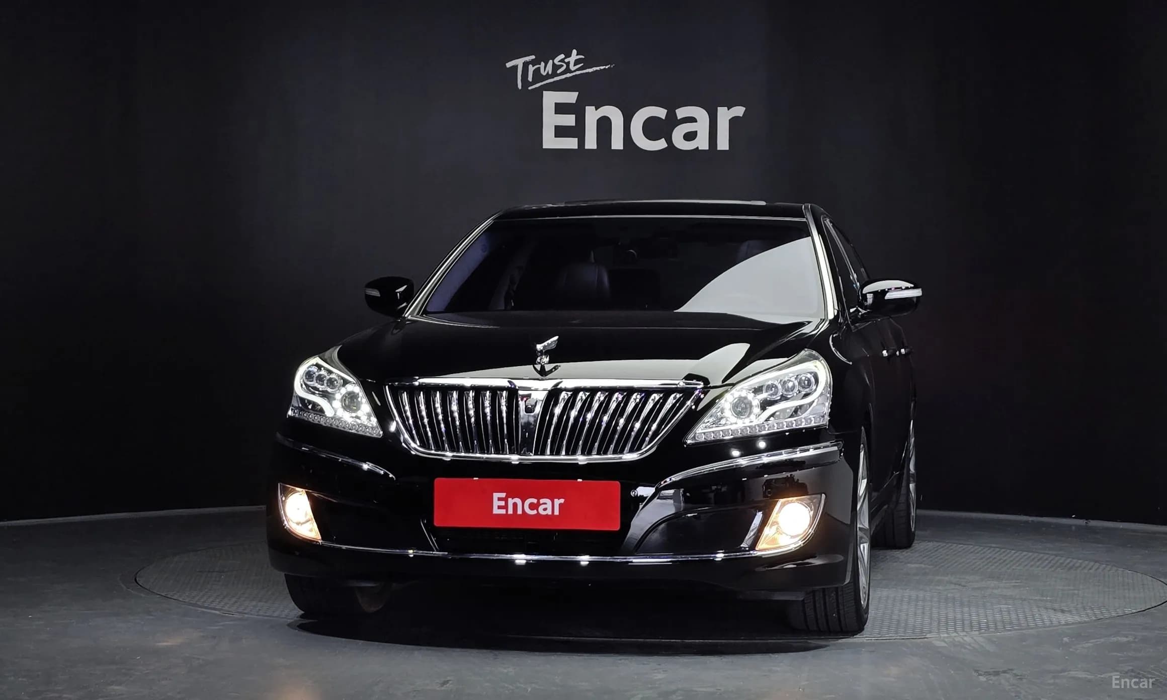 Equus (new)