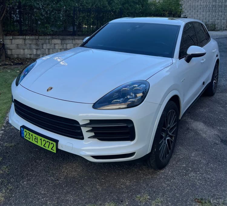 Cayenne (PO536)